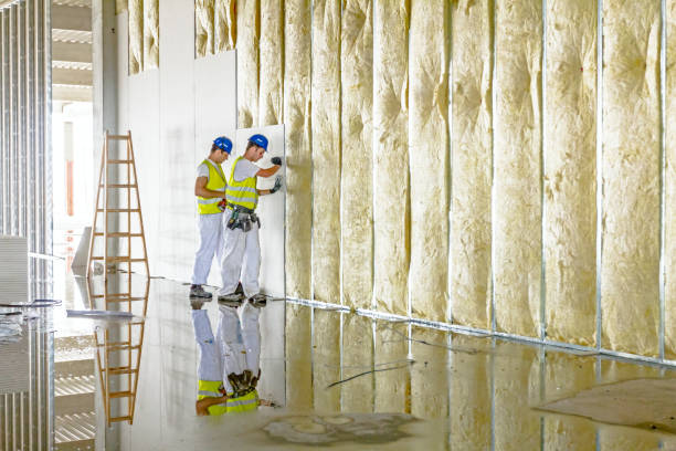 Types of Insulation We Offer in LA